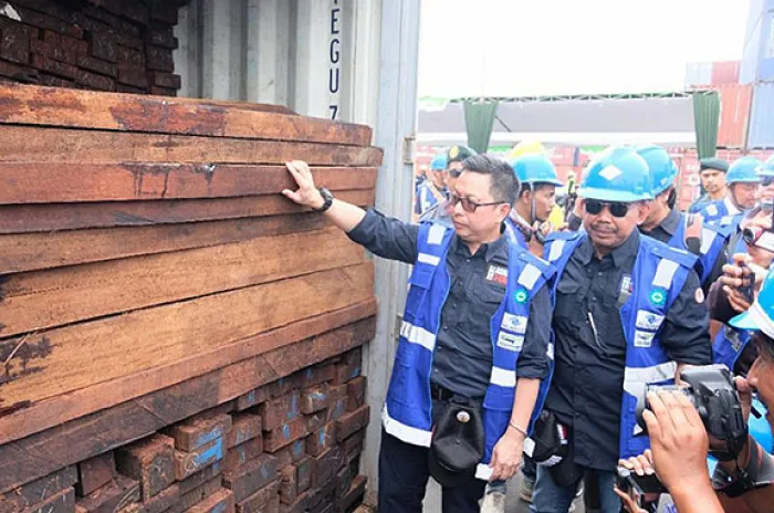 3 Direktur Perusahan Kayu Tersangka Pencurian Kayu Merbau  