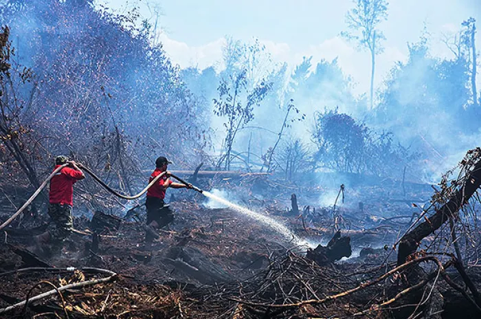 Kapolri Bentuk Tim Khusus Usut Penangan Kasus Karhutla