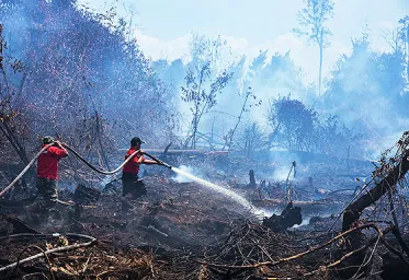 Kapolri Bentuk Tim Khusus Usut Penangan Kasus Karhutla