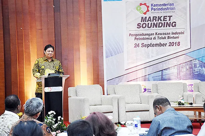 Kawasan Industri Teluk Bintuni Ditargetkan Serap Investasi USD 800 Juta