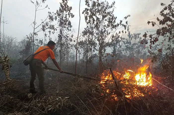 Mabes Polri Perintahkan Kapolda Copot Kasatwil Membiarkan Kasus Kalhutla