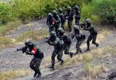 Anggota KKB  Berhasil Ditembak Mati TNI  Diduga Serang Pekerja Proyek di Puncak Papua