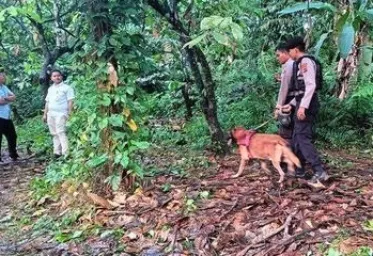 Tersangka Kasus Pembunuhan Gadis Penjual Gorengan Adalah Seorang  Residivis